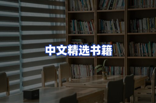 中文精选书籍